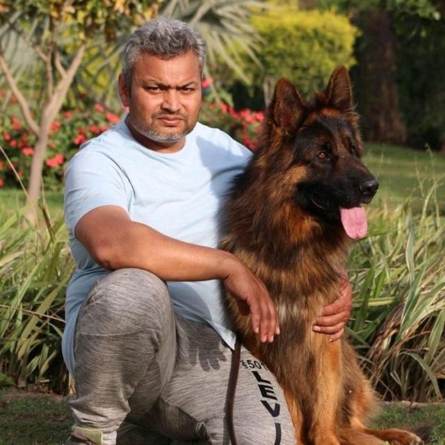 dogimage